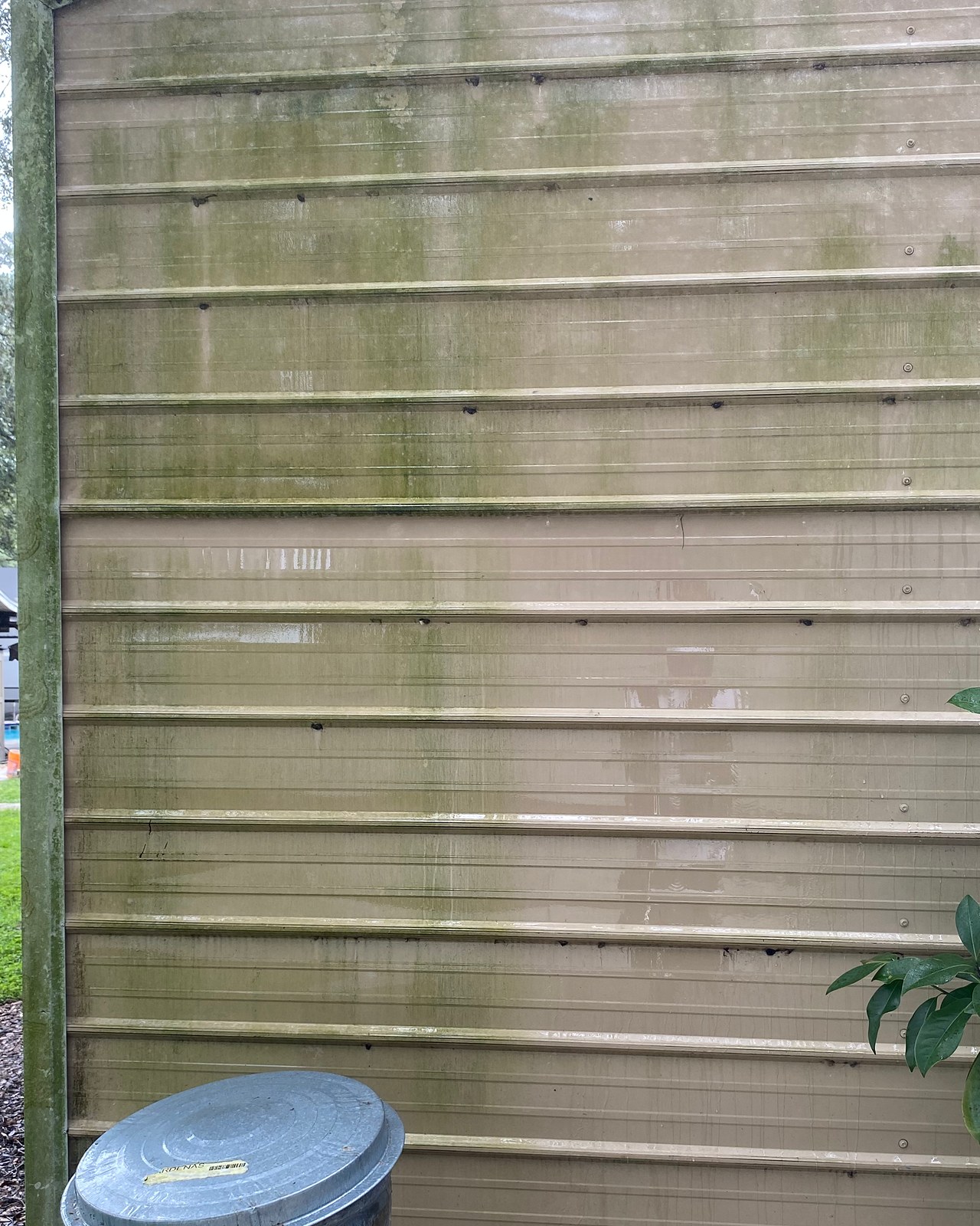 Tan vinyl siding at a building corner with vertical algae streaks before a house wash.