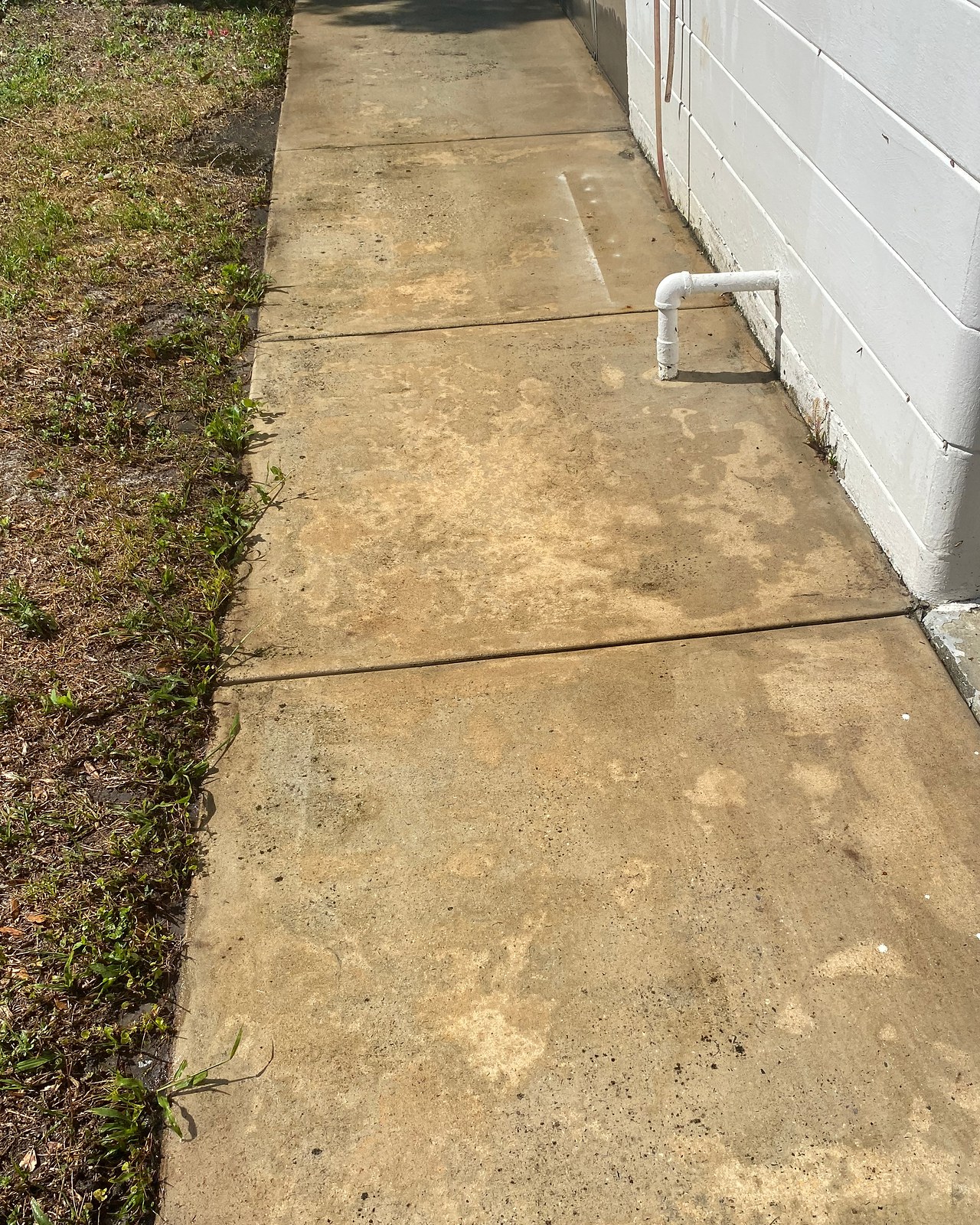 Concrete walkway after cleaning, with remaining permanent discoloration still visible.