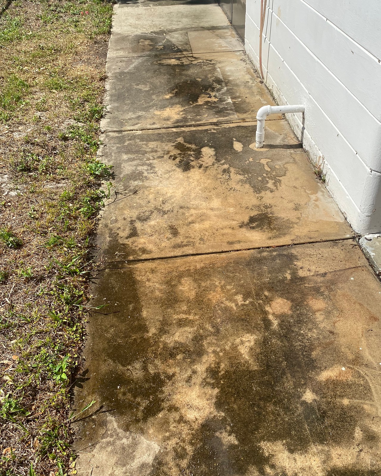 Concrete walkway beside a block wall with dark organic staining before cleaning.